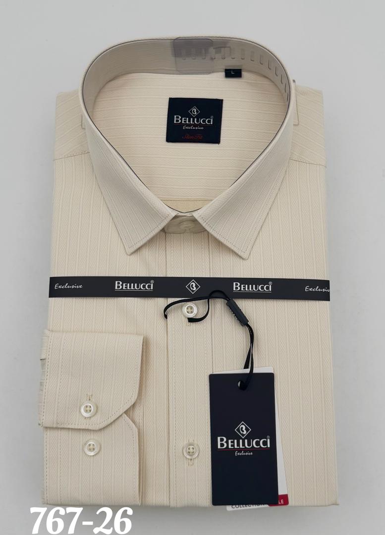 Chemise tommy